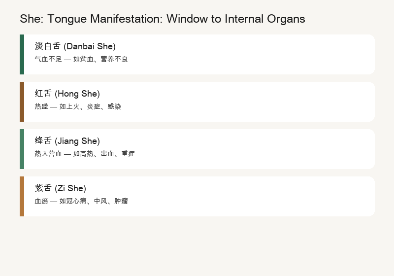 Tongue: Tongue Image Types