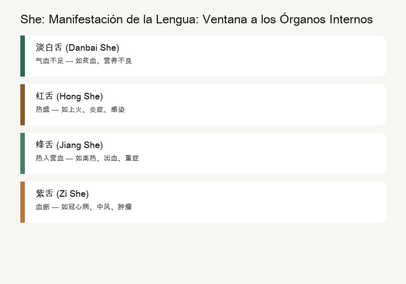Lengua: Tipos de Imágenes de la Lengua