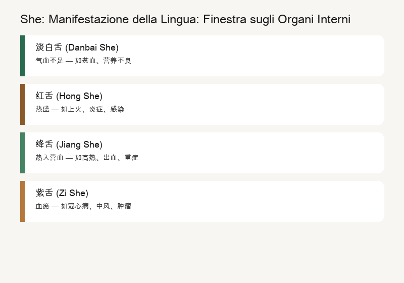 Diagnosi della Lingua: Corpo della Lingua, Rivestimento della Lingua e Zone della Lingua