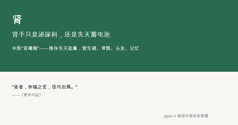 神：身体的CEO