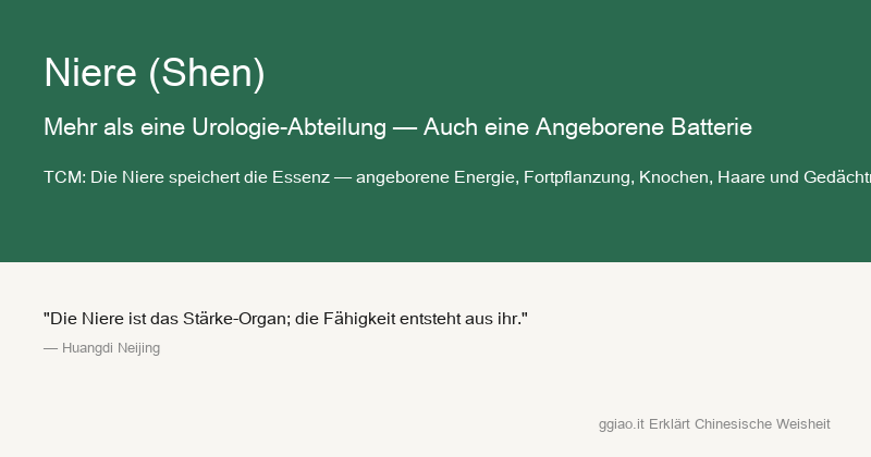 Shen: Der CEO des Körpers