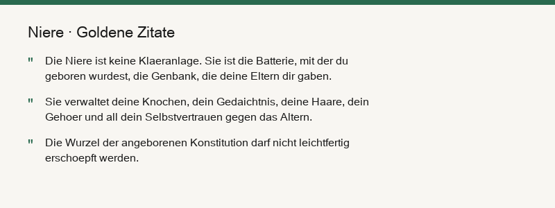 CEO Online, das Unternehmen läuft normal