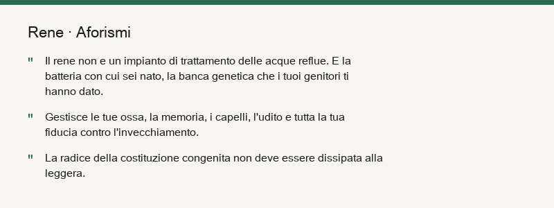 Riassunto del rene