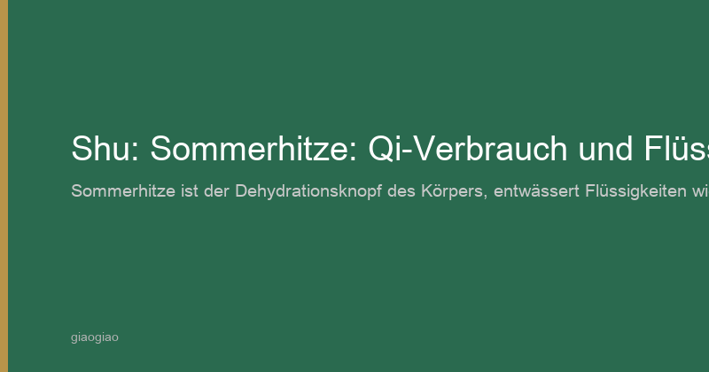 Shu: die hinteren Überwachungsstationen der Organe, FernDiagnose-Schnittstelle
