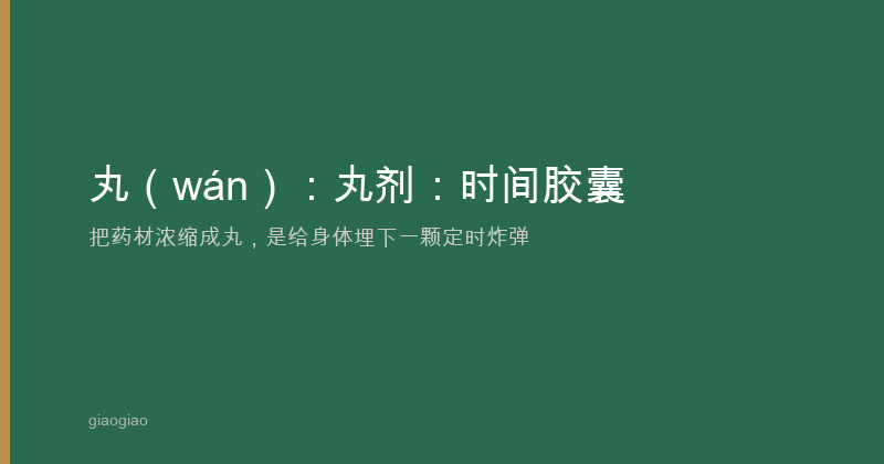 丸：丸剂：缓释胶囊