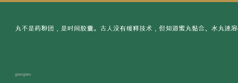 丸：丸剂：缓释胶囊