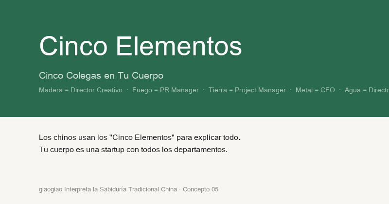 Cinco Elementos: Cinco Colegas en Tu Cuerpo