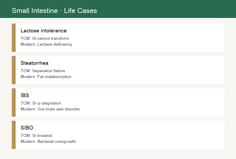 Cases of Small Intestine Disorders