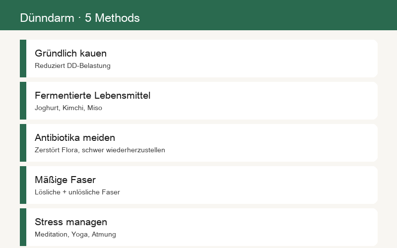 Fünf Methoden zur Dünndarm-Nährung