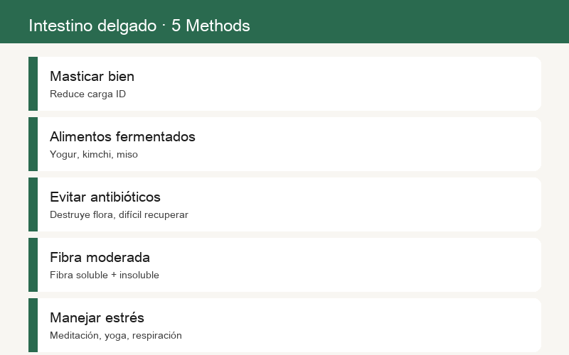 Cinco métodos para nutrir el intestino delgado