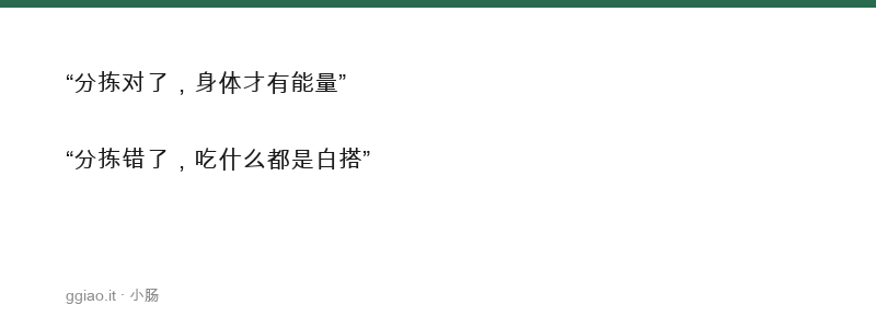 小肠分清泌浊，营养由此而生