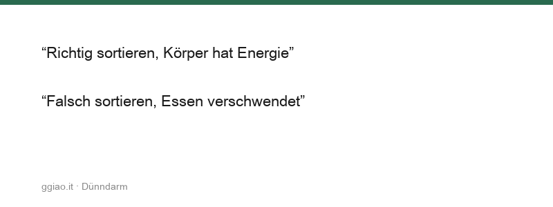 Der Dünndarm trennt das Klare vom Trüben, von hier kommen die Nährstoffe
