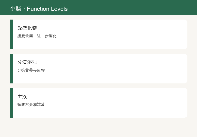 小肠与心相表里，分清泌浊