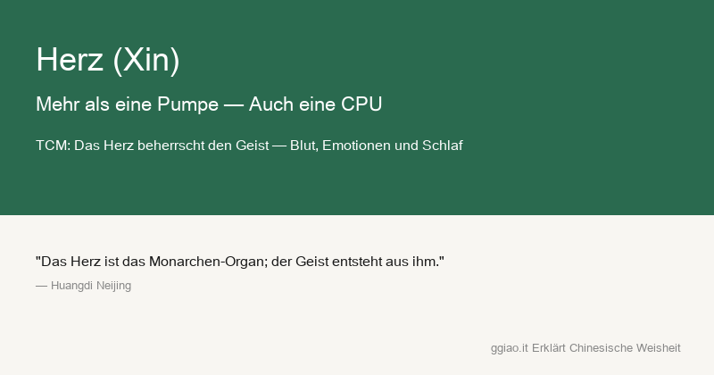 Herz: Das Herz ist Motor und CPU