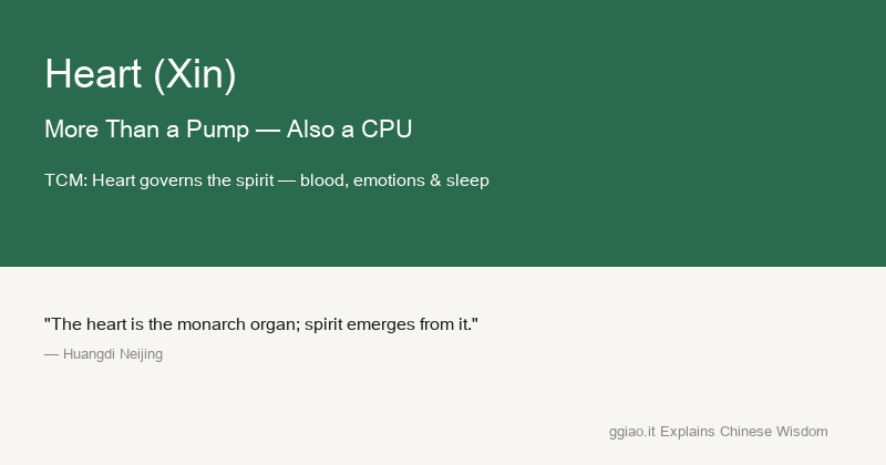 Heart: The heart is both engine and CPU