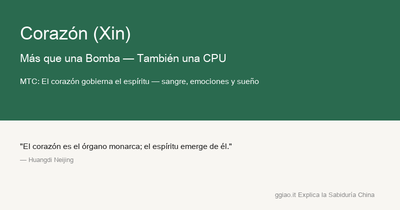 Corazón: el corazón es motor y CPU