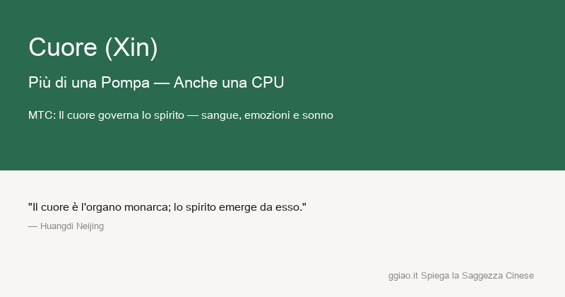 Cuore: il cuore è motore e CPU