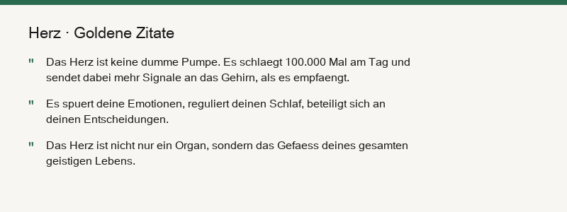 Zusammenfassung Herz