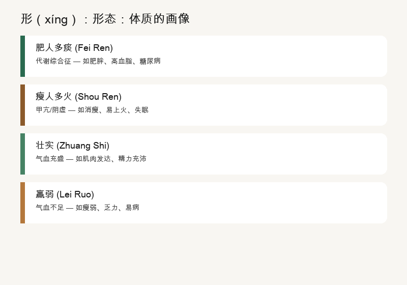 形的三层：形体、脏腑、气血