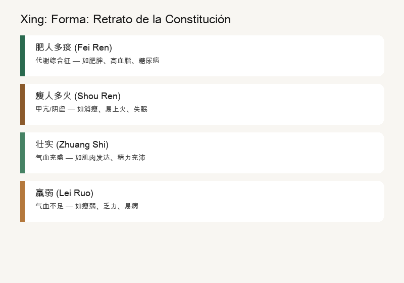 Las Tres Capas de Xíng: Forma Corporal, Órganos, Qi y Sangre