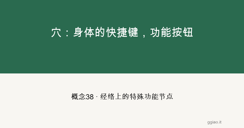 血：身体的物流系统