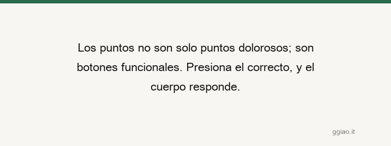 La sangre no es agua, es logística