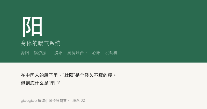 阳：身体的暖气系统