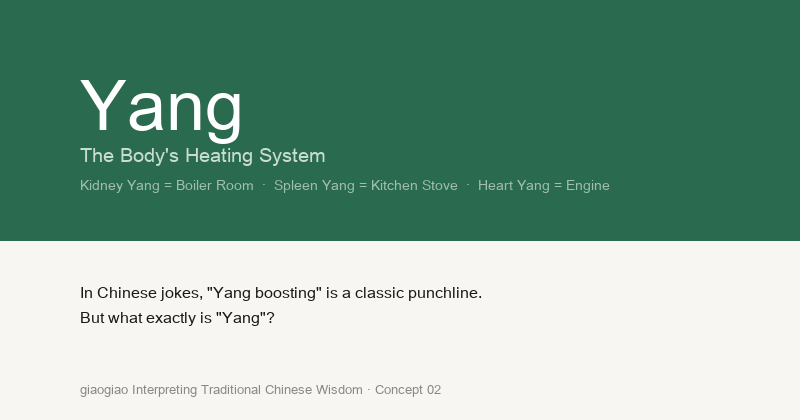 Yang: The Body's Heating System