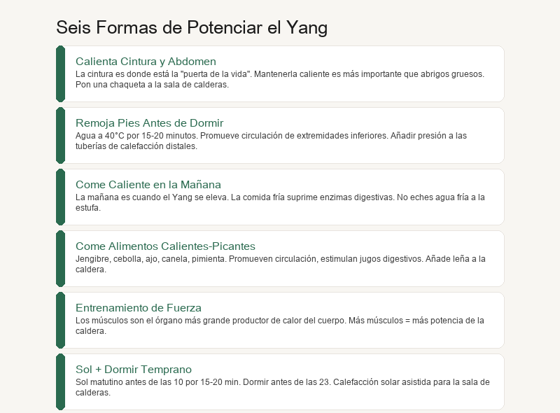 Seis Métodos para Aumentar el Yang