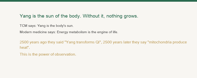 Yang Qi is the sun of the body