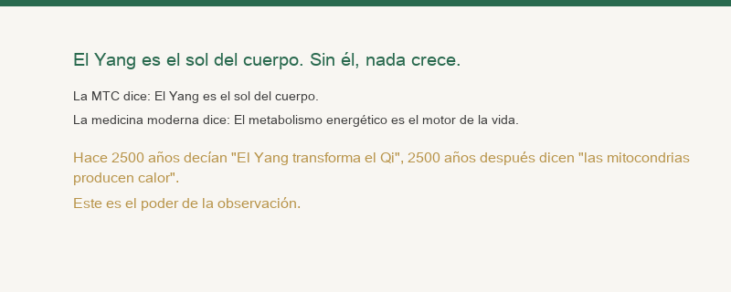 El Qi Yang es el sol del cuerpo