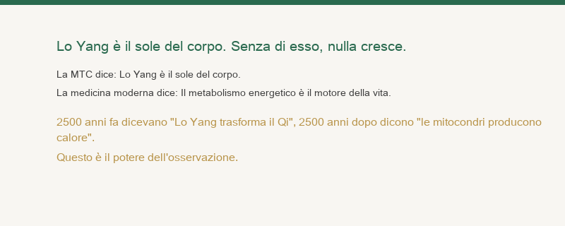 Il Qi Yang è il sole del corpo