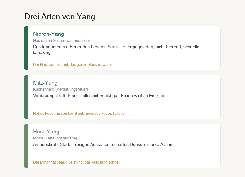 Drei Arten von Yang: Nieren-Yang, Milz-Yang, Herz-Yang