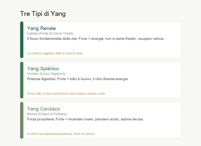 Tre Tipi di Yang: Yang Renale, Yang della Milza, Yang del Cuore