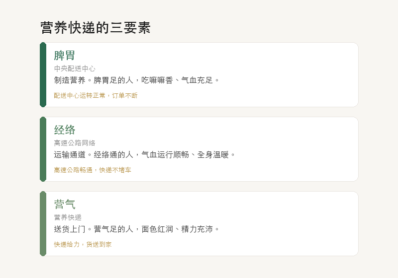 营气：从脾胃出发，走经络，到全身
