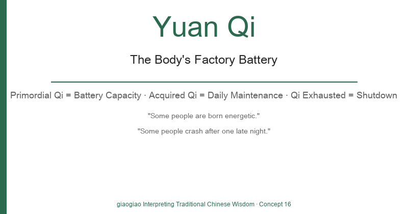 Yuanqi: The Body's Factory Battery