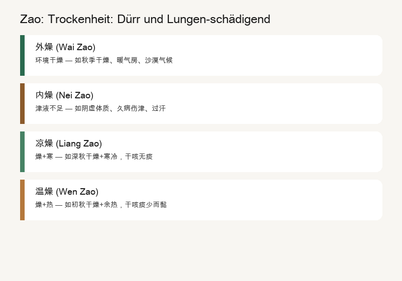 Trockenheit (zào) — Das Trockenheits-Übel: Trockenheit Schädigt die Lungen