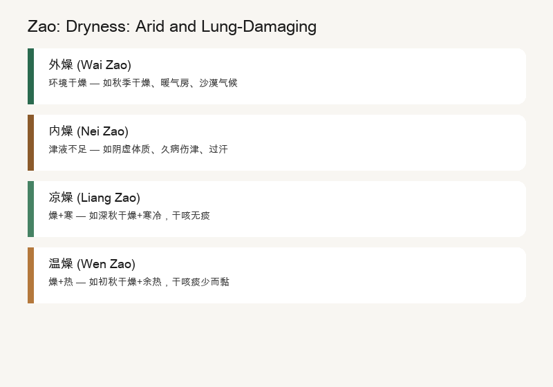 Why does TCM say autumn needs to guard against Zao? The dryness evil like a dryer