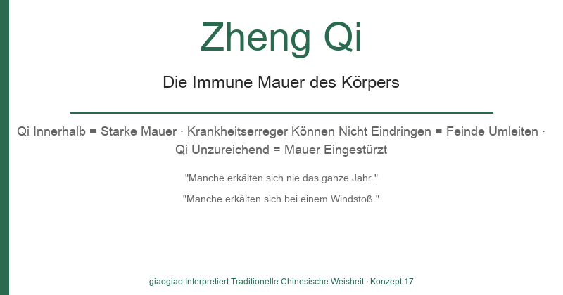 Zheng Qi: Die Immun-Mauer des Körpers