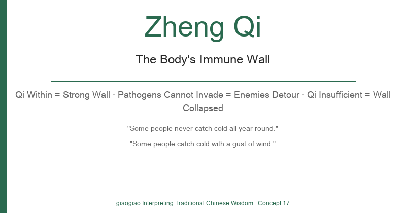 Zheng Qi: The Body\'s Immune Wall