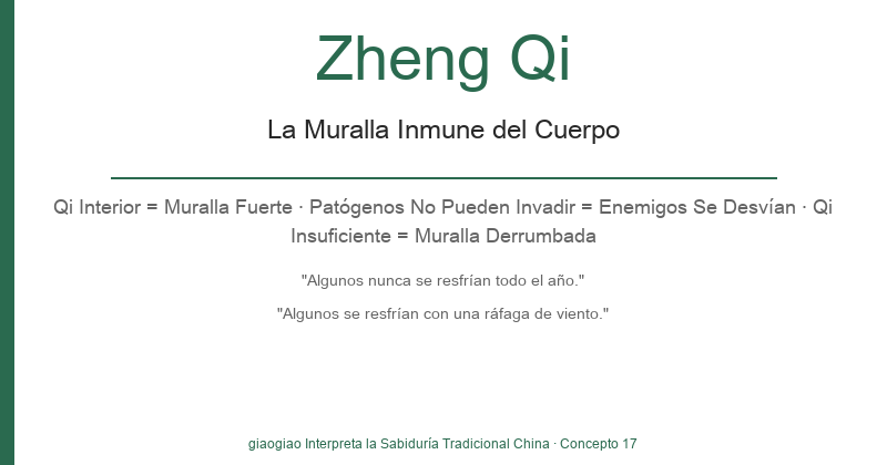 Zheng Qi: El Muro Inmunológico del Cuerpo